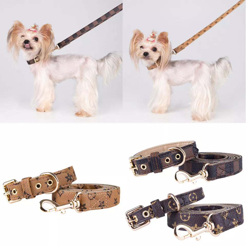 Luxury dog monogram collar with matching leash